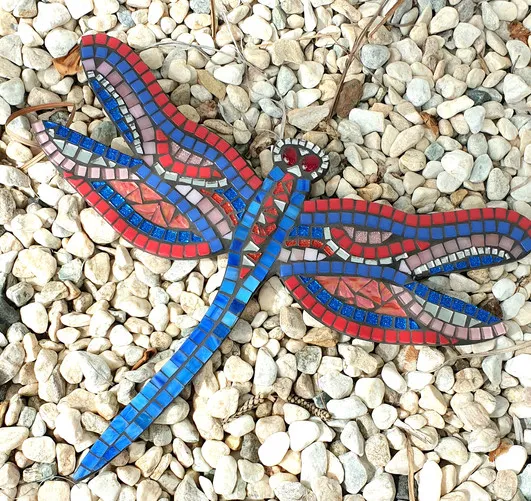 Dragon Flies