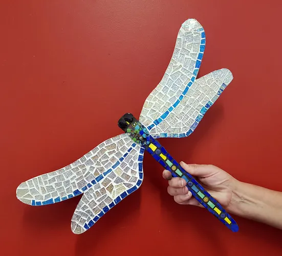 Dragon Flies