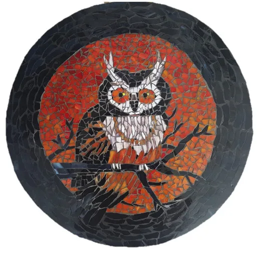 Owl And Bird