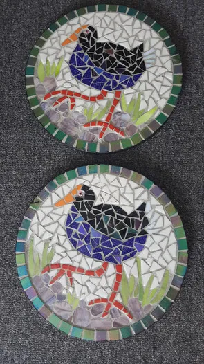Owl And Bird