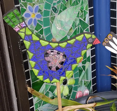 Owl And Bird