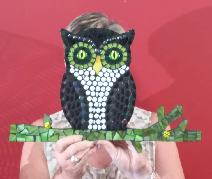 Owl And Bird