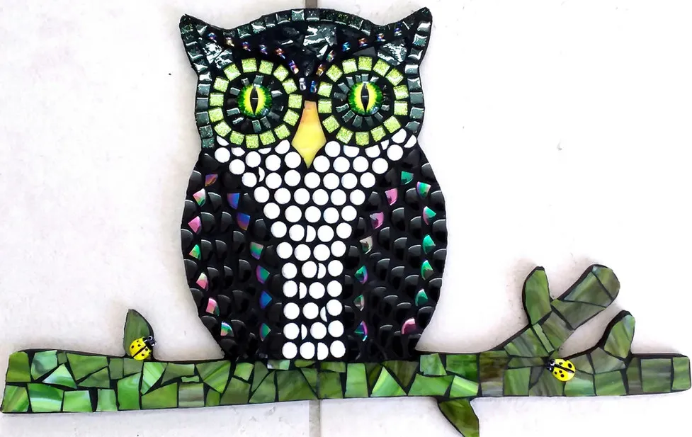 Owl And Bird