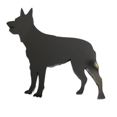20230613_150522_0000.png