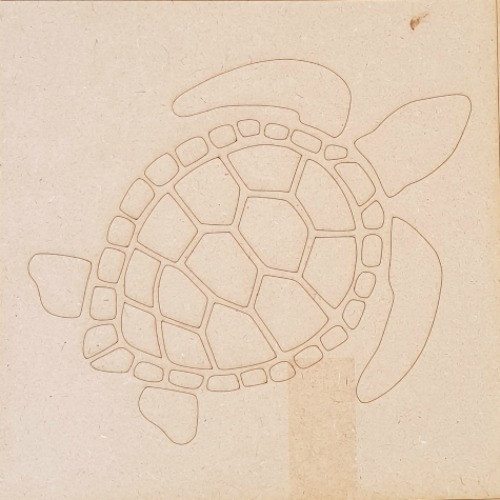 turtle.jpg