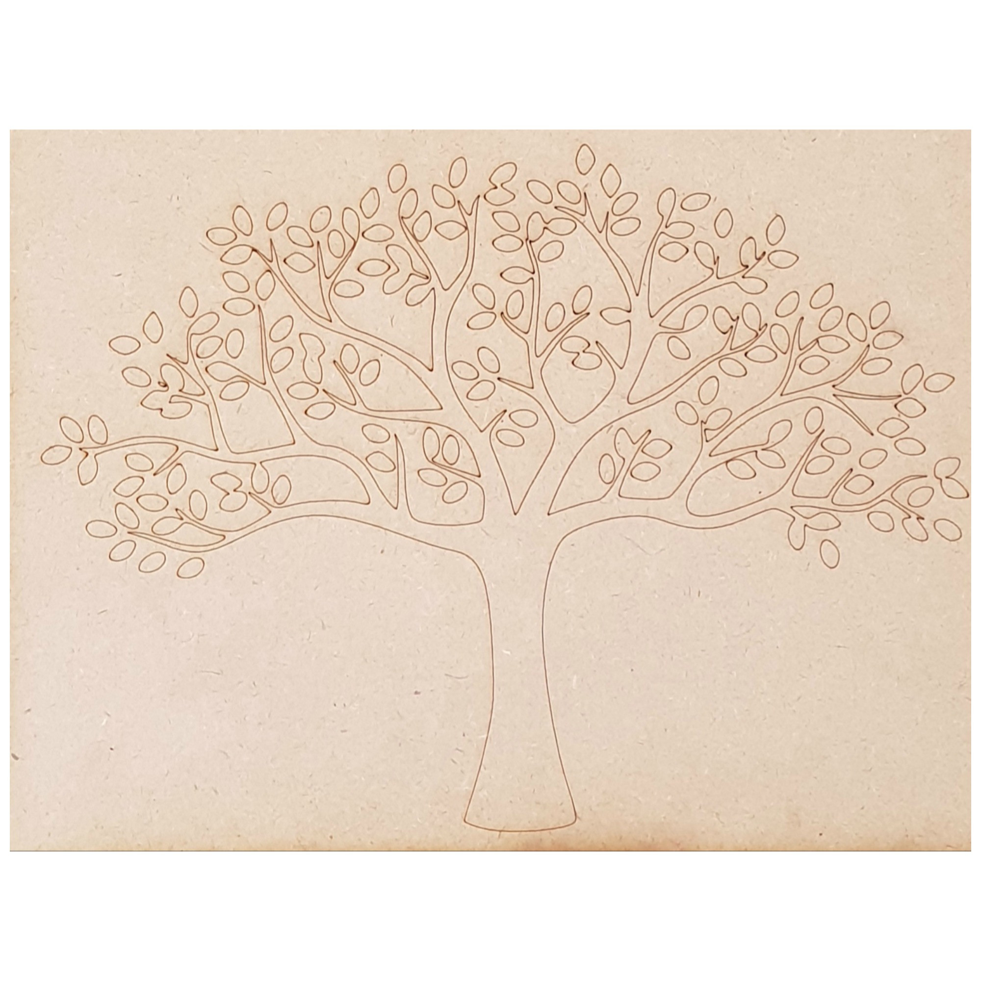 treeoflife.jpg