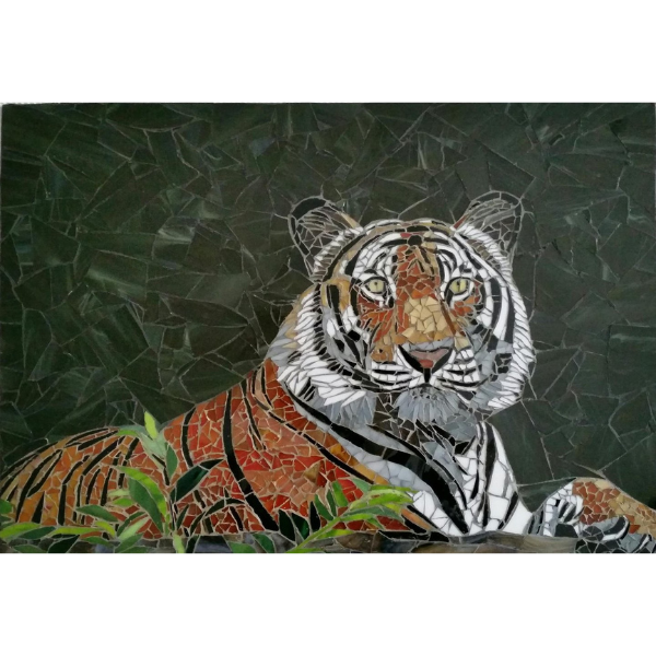 Animals 17