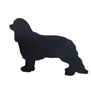Small Black King Charles Cavalier - (60X85X4.5Mm)